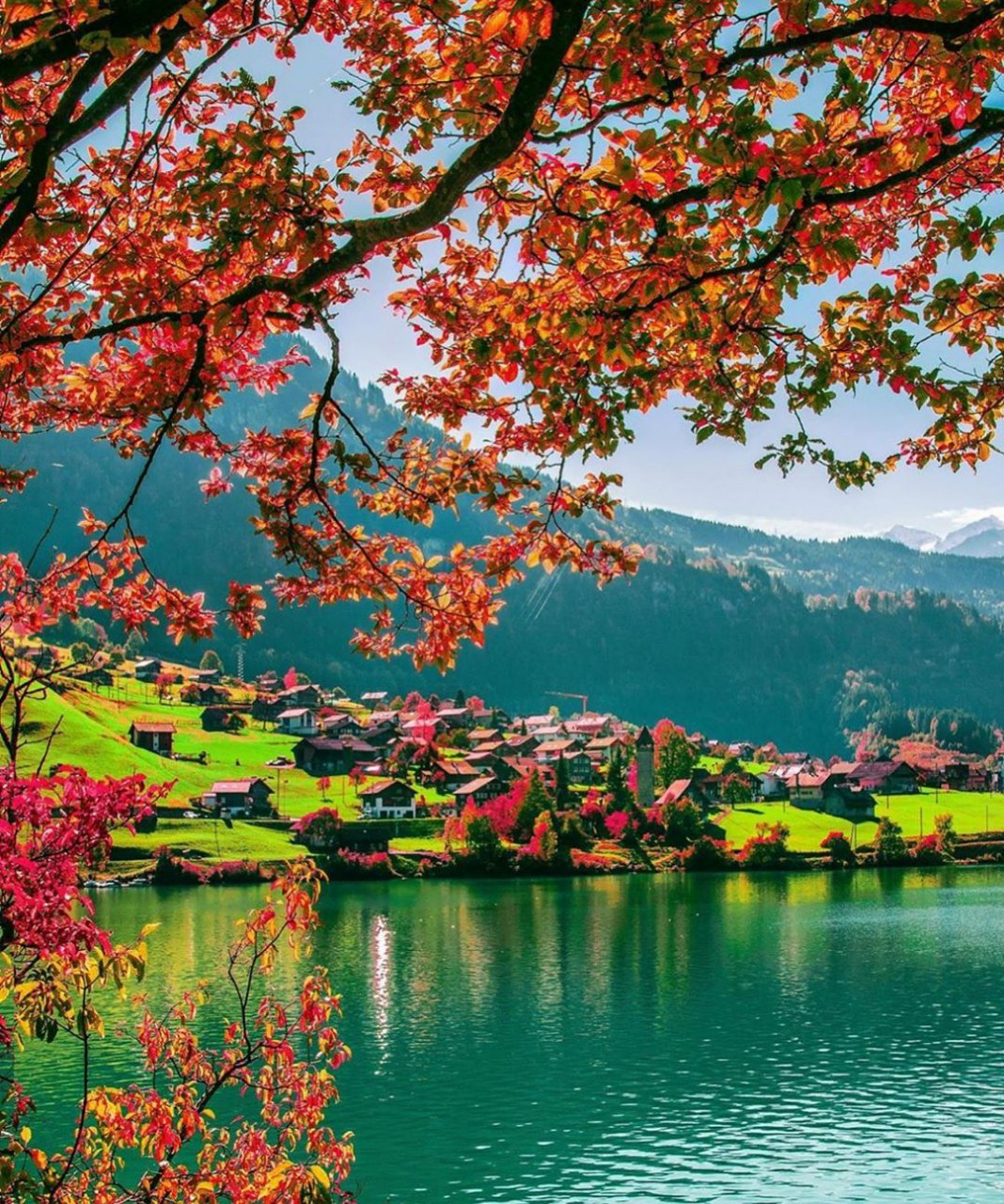 the beautiful nature of switzerland alt text